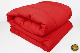 красное одеяло Еней-Плюс 0073